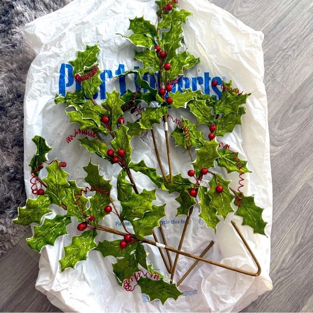 Festive Green and Red Holly Stems